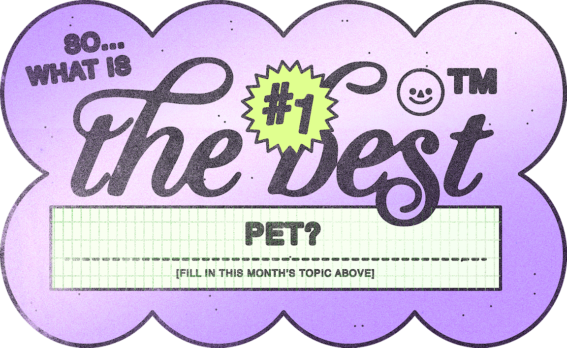 An illustrated graphic reads "So...what is the best pet?"